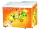 Tủ đông Kingsun KS-SD/C-400